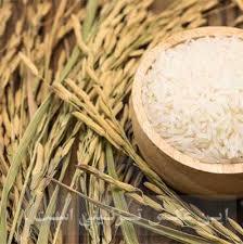 مرکز برنج ایرانی خسروی