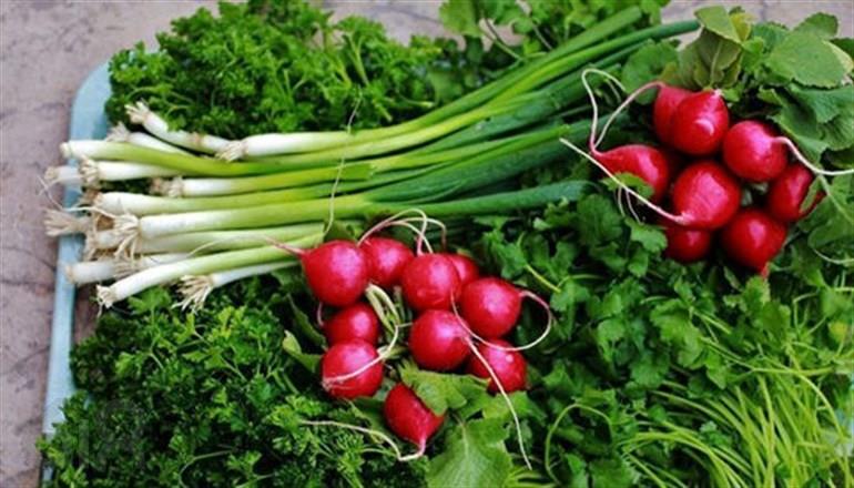 سفارش و پخش انواع سبزیجات آماده و خرد شده چهار فصل در ایرانشهر نهبندان بیرجند و چابهار