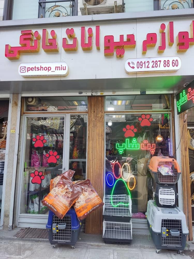 پت شاپ میو، پت شاپ میو در صادقیه، فروش انواع گربه های اشرافی در تهران، پانسیون گربه در تهران، فروشگاه لوازم حیوانات خانگی در تهران، پت شاپ در صادقیه