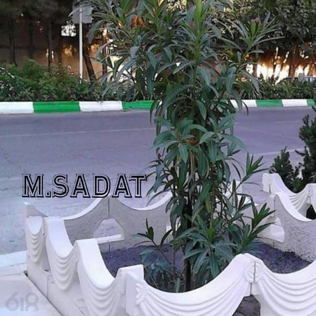 موزائیک سادات در مشهد